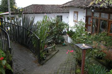 Photo 50
