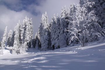 Snow and ski sports