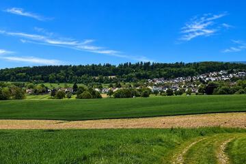 Land view from property