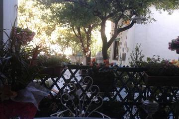 Photo 33