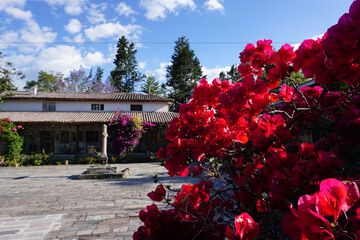 Courtyard View