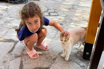 Pet-friendly