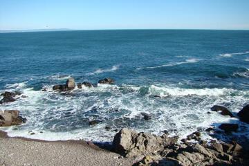 Photo 37