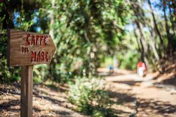 Hiking