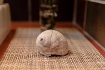 Photo 35