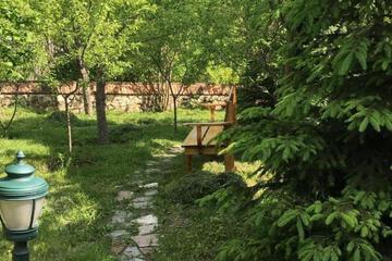 Photo 25