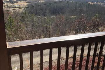 Photo 41