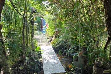 Photo 22
