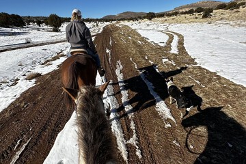 Horseback riding