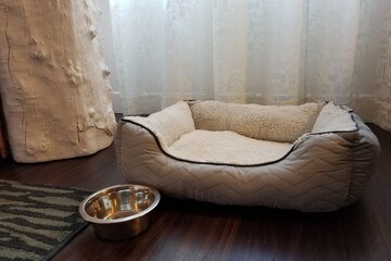 Pet-friendly amenities