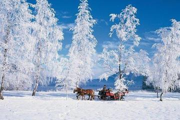 Photo 42