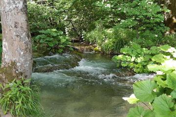 Photo 39