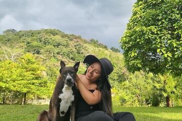 Pet-friendly