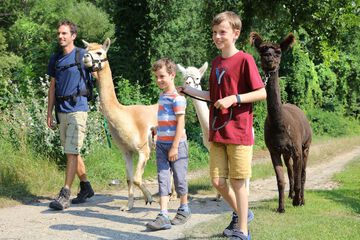 Children's activities