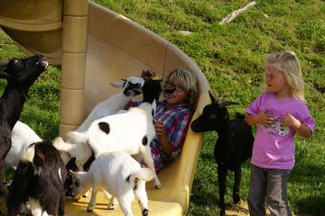Children's activities
