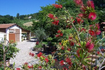 Courtyard View