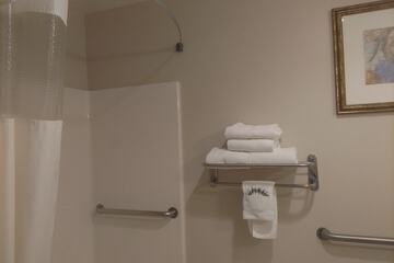 Bathroom shower