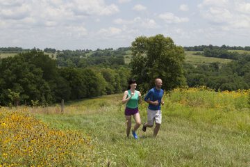 Land view from property