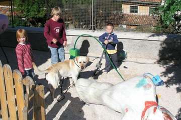 Children's area
