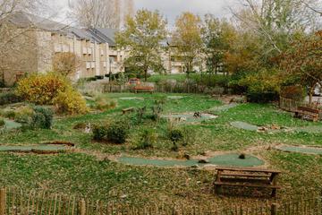 Photo 21
