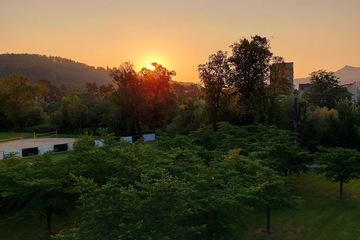 View from property