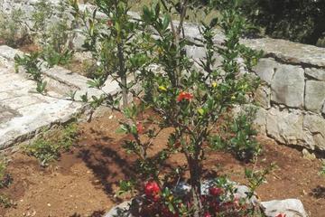 Photo 45