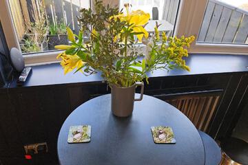 Photo 24