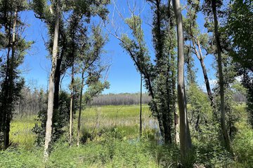 Land view from property
