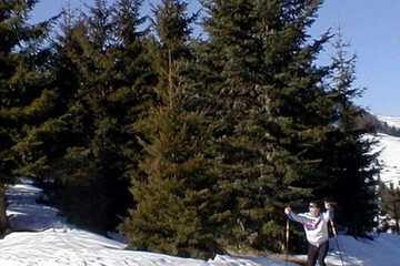 Snow and ski sports