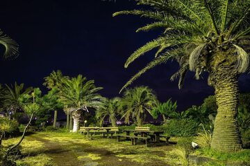 Land view from property