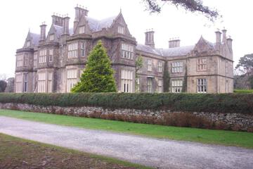 Photo 42