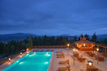 Indoor/outdoor pool