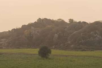 Land view from property
