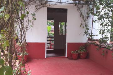 Photo 24