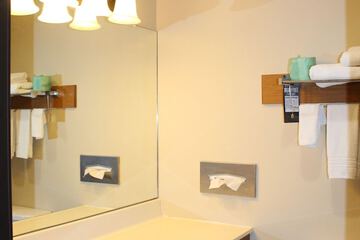 Bathroom sink