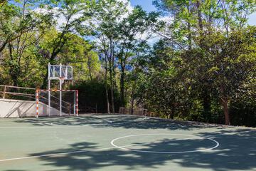 Basketball court