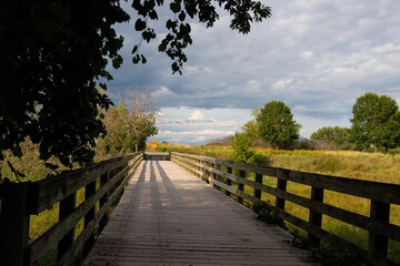 Hiking