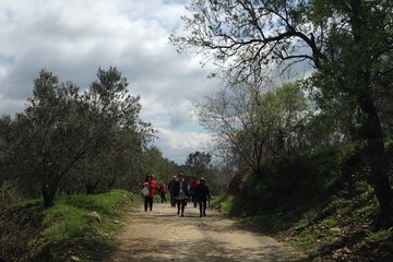 Hiking