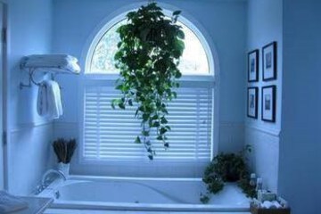  Hamptons Brazil Guesthouse 2