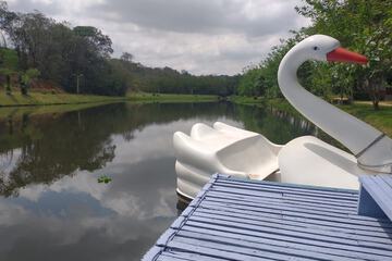 Lake
