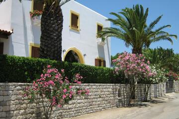 Photo 35