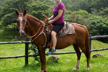 Horseback riding