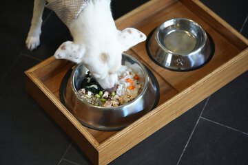Pet-friendly amenities