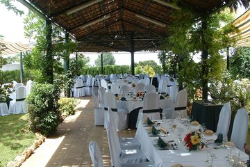 Outdoor wedding area