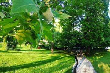 Property grounds