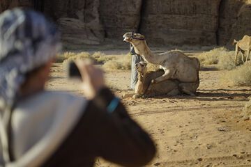 Safari