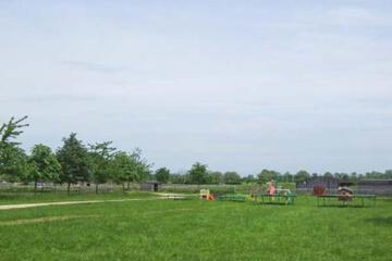 Photo 35