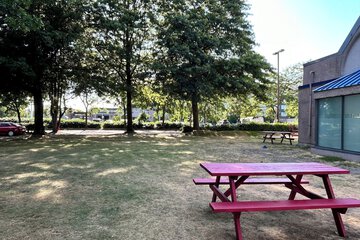 BBQ/picnic area