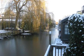 Photo 55
