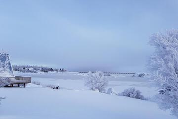 Photo 42